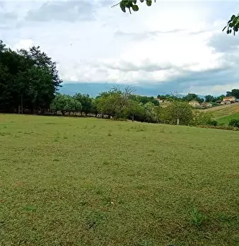 Foto annuncio 14