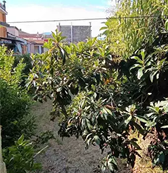 Foto annuncio 13
