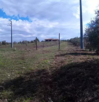 Foto annuncio 7