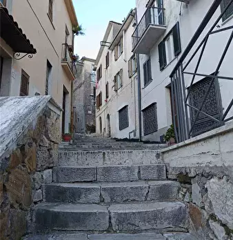 Foto annuncio 17