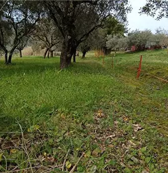 Foto annuncio 16