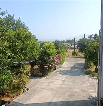 Foto annuncio 19