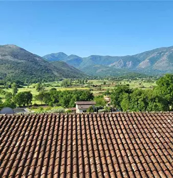 Foto annuncio 19