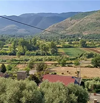 Foto annuncio 20