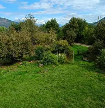 Foto annuncio 18