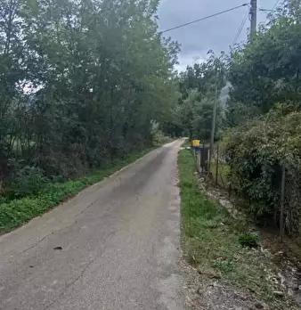 Foto annuncio 19
