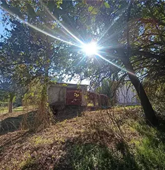 Foto annuncio 19