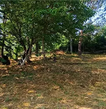 Foto annuncio 18