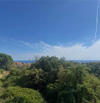 Foto annuncio 18