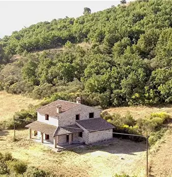 Foto annuncio 16