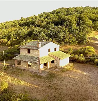 Foto annuncio 18