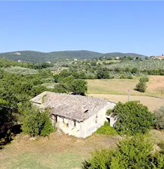 Foto annuncio 10