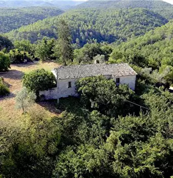Foto annuncio 11