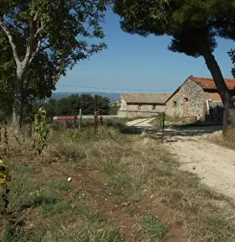 Foto annuncio 8