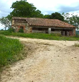 Foto annuncio 9