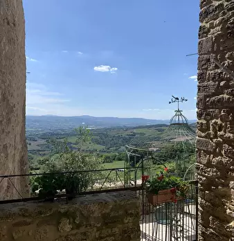 Foto annuncio 19