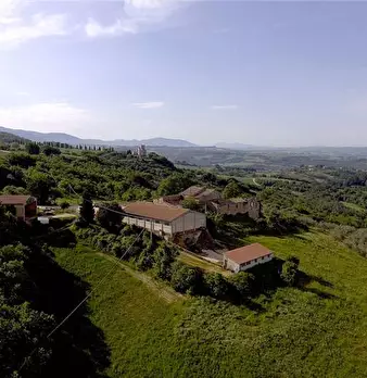 Foto annuncio 8