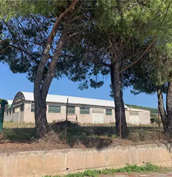 Foto annuncio 16