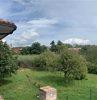 Foto annuncio 28