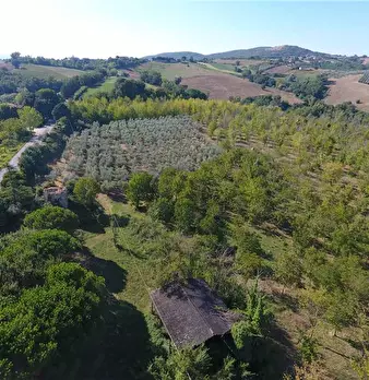 Foto annuncio 11