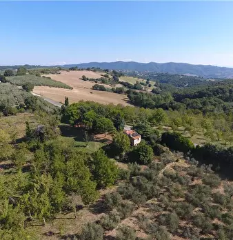 Foto annuncio 14