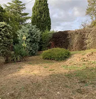 Foto annuncio 20