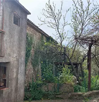 Foto annuncio 33