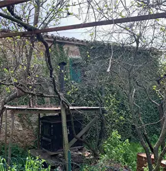 Foto annuncio 34