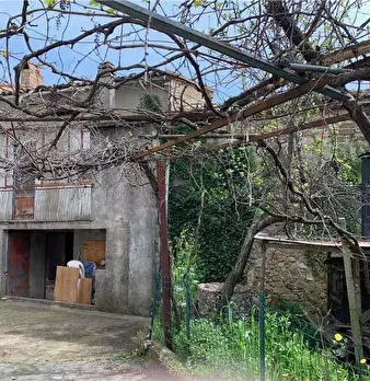 Foto annuncio 35