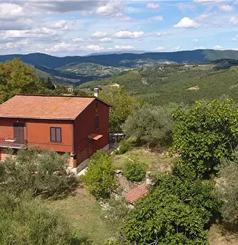 Foto annuncio 39