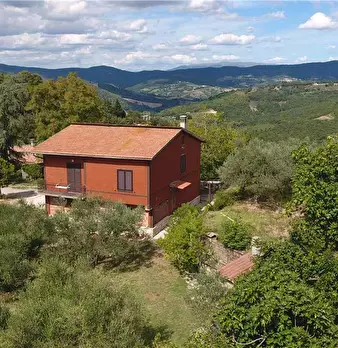 Foto annuncio 40