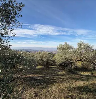 Foto annuncio 37