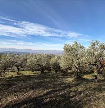 Foto annuncio 38