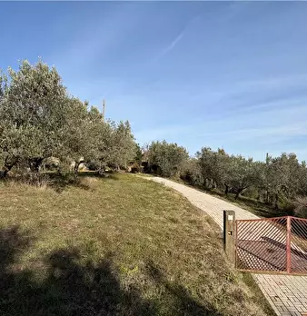 Foto annuncio 39