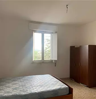 Foto annuncio 35