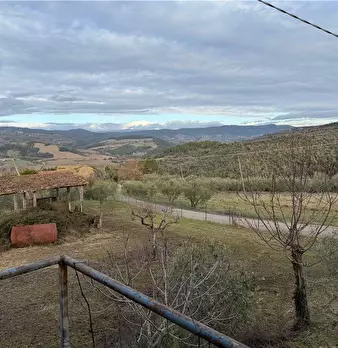 Foto annuncio 14