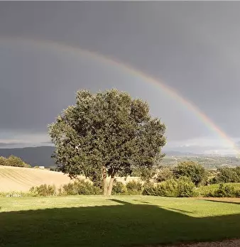 Foto annuncio 40