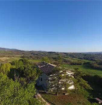 Foto annuncio 31