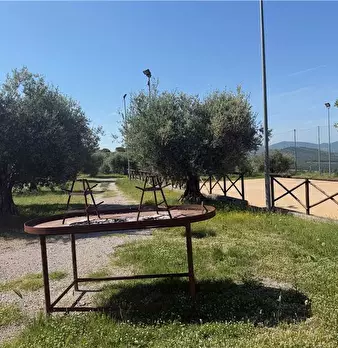 Foto annuncio 34
