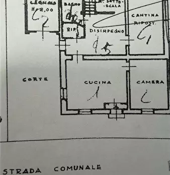 Foto annuncio 39