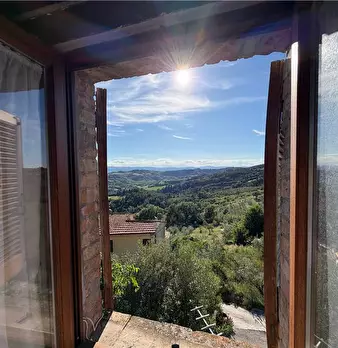 Foto annuncio 40