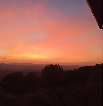 Foto annuncio 28