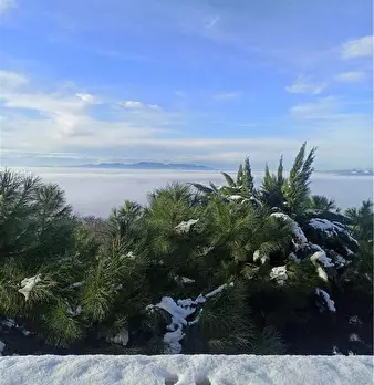 Foto annuncio 30