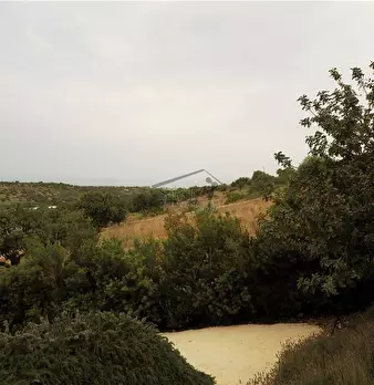 Foto annuncio 16