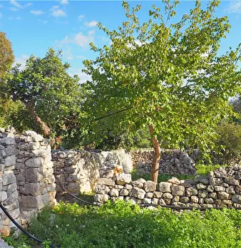 Foto annuncio 19