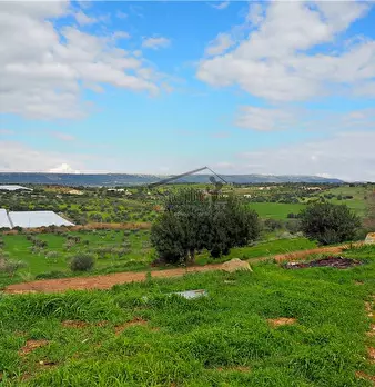 Foto annuncio 18
