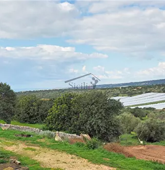 Foto annuncio 19