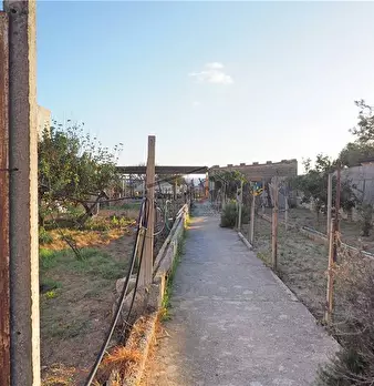 Foto annuncio 19