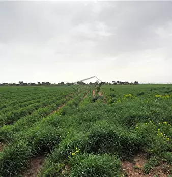 Foto annuncio 17