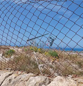 Foto annuncio 16
